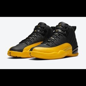 Jordan Retro 12
